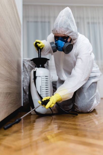 Best Termite Inspection and Treatment  in Sparta, MI